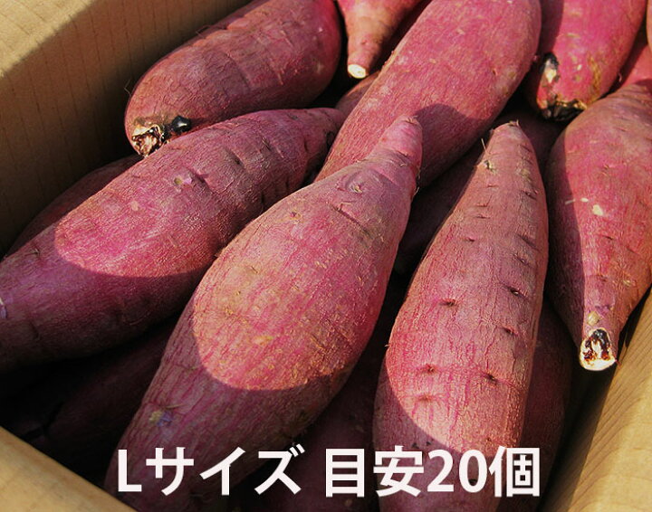 楽天市場 鹿児島のさつまいも べにはるか ５kg サイズが選べる ｍ ｌ ２ｌ 熟成 紅はるか ベリーファインファーム 鹿児島