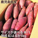 鹿児島のさつまいも「べにはるか」5kg 10kg　サイズが選べる M・L・2L 熟成 紅はるか