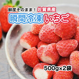 uԗⓀ䕁@500g×2 Jbg