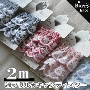 y Berry Lace IWin z ȃ[X / LfBX^[t / 2m / S5F( |p[X MU[  w ܂̑ fR P | nhCh ̎q [X ) [X