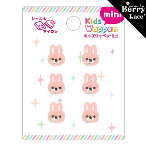 yV[ACڒ^CvzLbY by~j iKWM-06j w/ rbg