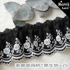   [X  KN* t* n×*2mim05F-bxw)