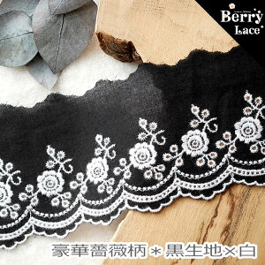   [XKN** n×*3mim05H-bxw)