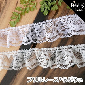  bZ [X Ԃ股ȃt 2.5m* E ItEEF` ( |/ nhCh/ fR/ CN/ / ߑ/ BerryLace/ x[[X/ w/ j