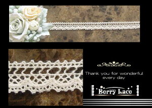  g[V [Xӂ g[V * *2m ͂[X