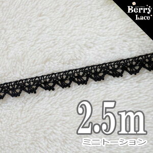  g[V ~jg[V* * 2.5m ( i`/ VR/ Rbg/ [X/ h[j