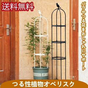 �������� �X���[���I�x���X�N 150cm �a30mm �� ���|�p�i �o�� �K�N �I�x���X�N�A�[�` �v�����^�[ ������� ���|�p�i �A�ؔ� �A�� �� �g�ݗ��� �x�� ���| �ƒ�؉� ��������