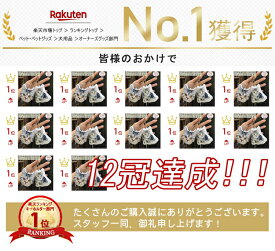 ペット オリジナルクッション ミニキーホルダー ペットオリジナル アクリルキーホルダー 仏具 オーダーキーホルダー 供養 メモリアルグッズ 犬 猫 両面写真 記念 お悔やみ 遺毛入れ 遺骨入れ 遺品 遺骨キーホルダー 持ち歩き お守り プレゼント ペットロス 虹の橋 お返し