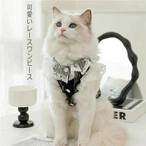 hbOEFA s[X ėp  [X s[X XJ[g hX ^Ngbv m[X[u ttXJ[g s[X L~\[ ybg t ĕ H ~ ̕