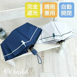 P ܂肽 SՌ ˂ L UVJbg ܂肽ݎP 100 Ռ fB[X J Jp  LVGbg