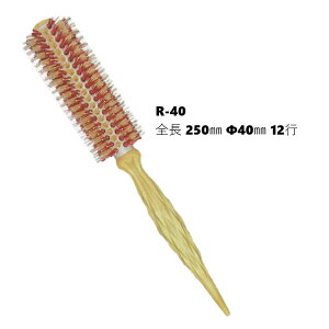 GISHI Zt [uV R-40   {iC ϔM220 C^AؐObv