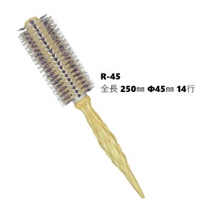GISHI Zt [uV R-45   {iC ϔM220 C^AؐObv