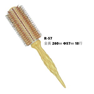 GISHI Zt [uV R-57   {iC ϔM220 C^AؐObv