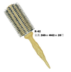 GISHI Zt [uV R-62   {iC ϔM220 C^AؐObv