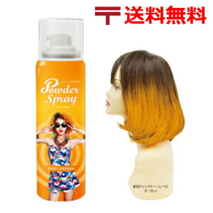 wAJ[ Xv[ AX J[ pE_[ Xv[ 60g [ VCj[ IW ] 2000~ |bL  10/23XV