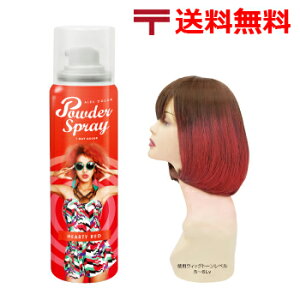 wAJ[ Xv[ AX J[ pE_[ Xv[ 60g [ n[eB bh ] 2000~ |bL  10/23XV