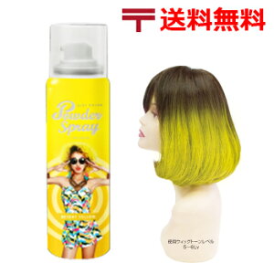 wAJ[ Xv[ AX J[ pE_[ Xv[ 60g [ uCg CG[ ] 2000~ |bL  10/23XV