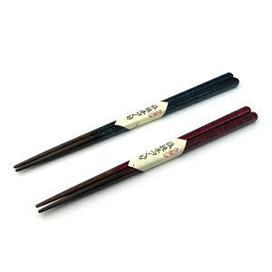   ͂ [邵̋^vw jp p Zbg ] ̔̂ߖs ̓ ̓ Mtg 蕨 v[g 10/23XV