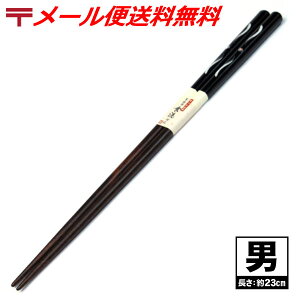   ͂ [̂߂^jp ] ̔̂ߖs ̓ ̓ Mtg 蕨 v[g H@ 10/23XV