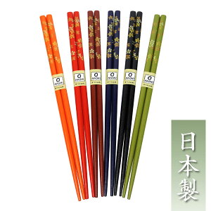  22.5cm { [֑  l  E v[g 킢   j vw e ዷh j  Y 1V ~ o  10/23XV