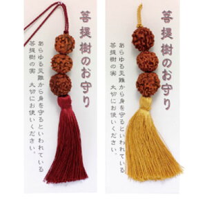 ̂ t ( Ђ R |  ݂₰ Xgbv L[z_[ J^ ii ̑ ߋ ei ċx g X}z `[ aC N  PK ʈS ) 7/1XV