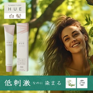  qEJ[ uE 80g S21F炨Iт HUE q[ io[X[ AbV x[W O[ wAJ[ AbV J[ Ɩp VR px t[ mW