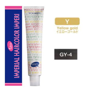 pCA CyAwAJ[ Cy [ GY-4 CG[S[h ] 10/23XV