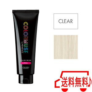 [ NA ]  J[~[Y J[N[ 240g  J[ v~GX 10/23XV