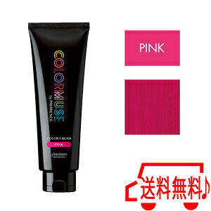 [ sN ]  J[~[Y J[N[ 240g  J[ v~GX 10/23XV