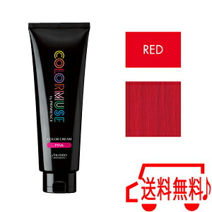 [ bh ]  J[~[Y J[N[ 240g  J[ v~GX 10/23XV