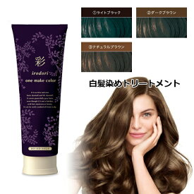 カラートリートメント 白髪染め 彩 いろどり ワン メイク カラー 250g 肌が弱い方へ ノン ジアミン ヘアカラー