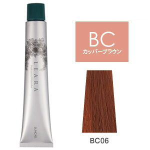 ���A���J���[ [ �J�b�p? �u���E�� BC06 ] �I�����W �T���R�[�� 10/23�X�V��