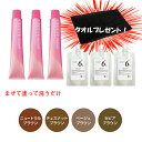 ミルボン オルディーブ ーテ 3本 ＋ オキシ 100ml 3個 セット [ A ] 白髪染め ダーク ブラウン ベージュ ミルクティー アッシュ グレージュ 女性用 白髪用 ヘアカラー 剤 業務用 3/27更新♪