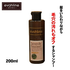 P Vv[ eꔄ A~m_n _[W wA NWO [ T{ht@XBmD Vv[ 200ml @[xi̍ ] 2000~ |bL  ь̉ ɏ G