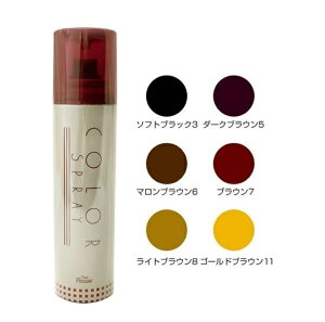 J[Xv[ SR 110g j[t[ ڂ 2000~ |bL  yV s ʔ  7/1XV