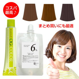 ケアテクトOGカラー オキシ 100ml セット 女性用 白髪染め ナプラ ブラウン アッシュ ベージュ 女性用 白髪用 ヘアカラー 剤 業務用 7/1更新