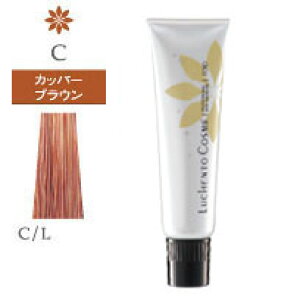 [`FgRX [ Jbp[uE C/L ] IW NAł͂܂ 10/23XV