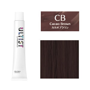  AeBXg 80g [ JJI uE 5 ] AbV p J[ Ɩp yV s ʔ 10/23XV