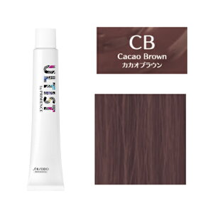  AeBXg 80g [ JJI uE 7 ] AbV p J[ Ɩp yV s ʔ 10/23XV