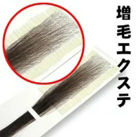 増毛 エクステ 35cm [ 1本の髪の毛に6本の毛を取り付けるタイプ × 170ループ ] ファイバー100% 2000円ポッキリ 送料無料 楽天 市場 通販 10/23更新♪