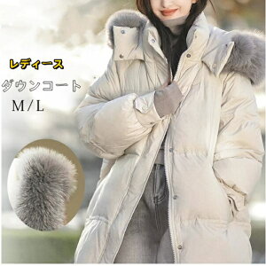 fB[X H~ _ER[g R[g fB[X ~ OR[g H~AE^[ O x`R[g AE^[ WPbg fB[X tFCN_E  t@[t R[g i h 