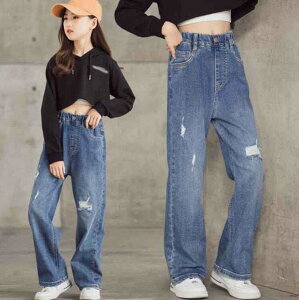  q@q  t V {g fj pc Y{ Xg[gpc ̎q  j̎q j LbY WjA JWA ʉ ʊw 傫TCY 110-170