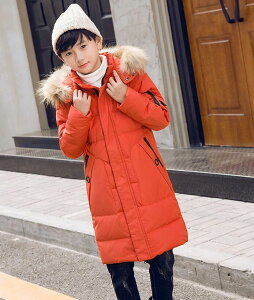 @4F  _ER[g _ER[g q LbY~p AE^[@̎q@j̎q_ER[g ~p@_EWPbgh/H~/ʉ/ʊw@LbY h WjA A