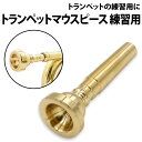 ＼50%offクーポン有／ 楽天1位 トランペット マウスピース 練習用 ゴールド 吹奏楽 自宅 練習 初心者 吹奏楽部 自宅練習用　ビギナー 学校 バンド 金管 楽器 小学生 ラッパ 楽器パーツ 演奏用 マットゴールド 金管楽器 基礎 音 トランペット用マウスピース