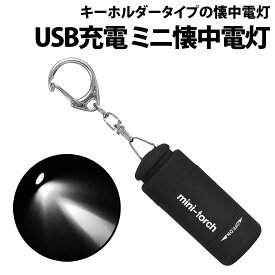 ＼50%offクーポン有／ 楽天1位 ミニ 懐中電灯 USB充電式 白熱球 ライトキーホルダー ハンディライト キャンプ アウトドア 小型 携帯 防犯 防災 車 玄関 子供 ペット 夜間 散歩 鍵 カギ穴 足元 LEDライト ミニ懐中電灯 キーホルダー ライト 軽量 コンパクト ブラック 高輝度