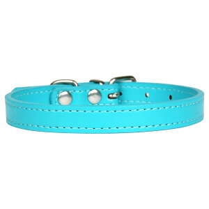 _50%offN[|L^ yV1   ^ ^ L  v 킢 U[ ybg ybgp PU  ̎ qD  т y Č p pi 킢 JCC 