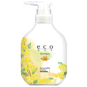pCA eco HBS Vv[ LNZC 500ml