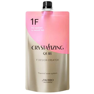  NX^CWO L[ F fUCNG[^[n 400g Ki SHISEIDO