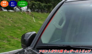 ���N�T�X�ELX700h �p �t�����g�K���X�p �E�F�U�[�X�g���b�v �h�� �h�� �J�[�A�N�Z�T���[ 2�� 08820