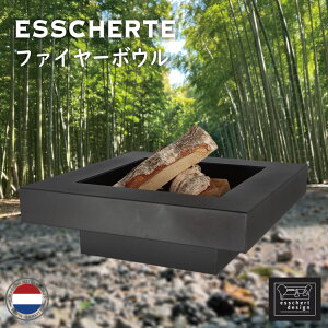 ESSCHERTiGbV[gjXNGAt@C[{E ES-FF573bI_ BBQ {  Ɨʓr